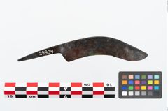 Foto von Eisengriffdornmesser (NHMW-PRAE-024994)